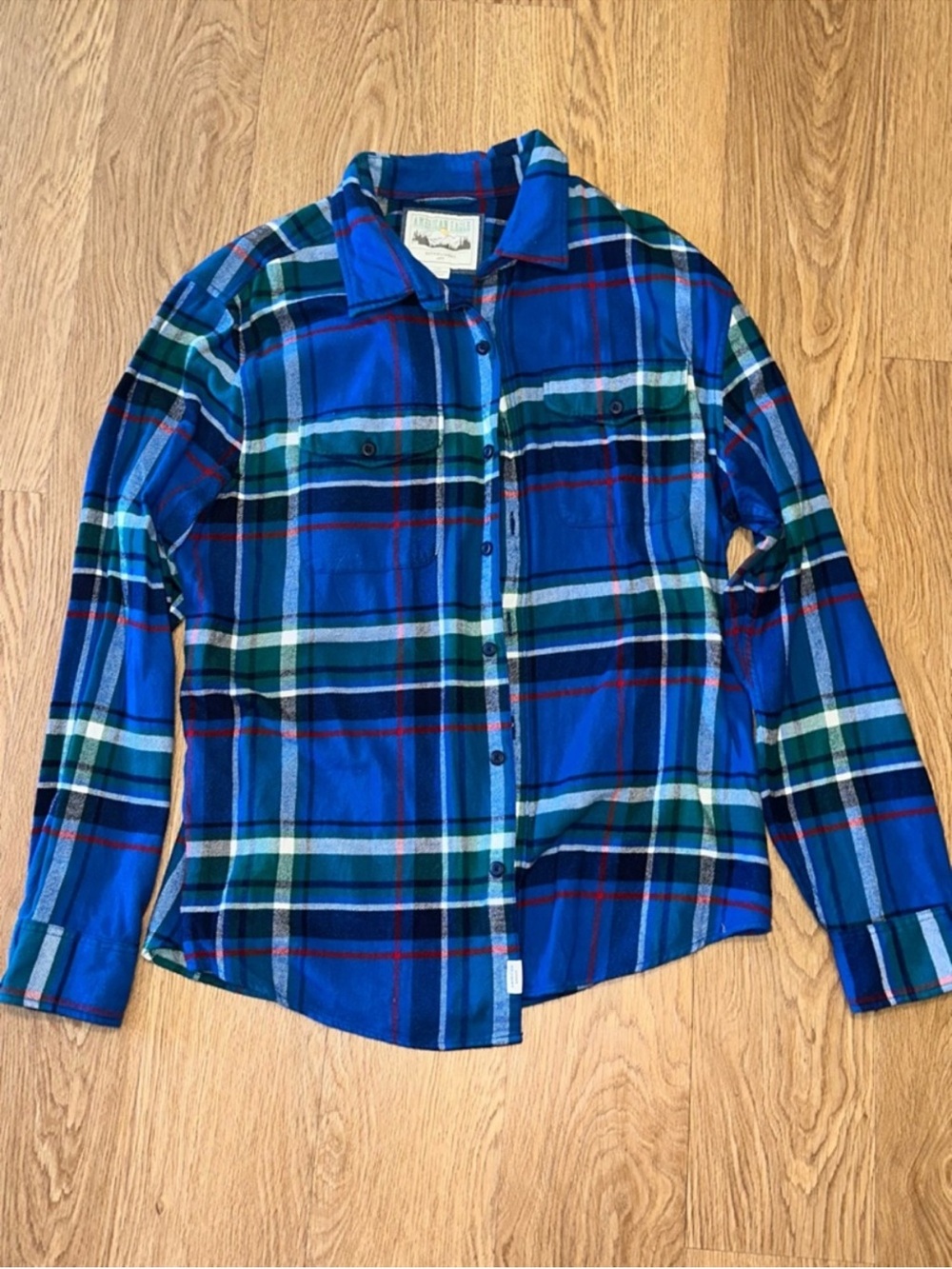 American Eagle Outfitters Blue and Green Plaid Button-Down Shirt